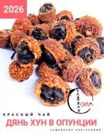 Красный чай Дянь Хун в опунции, 2026 г, 100 гр. Юньнань, Китай